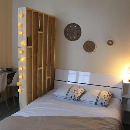 Cosy Au Pied Du Chateau דירה סומור