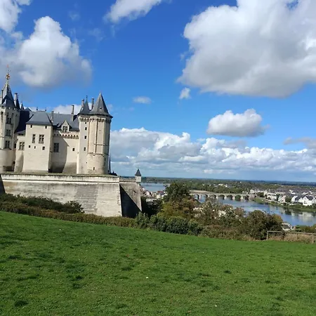 Cosy Au Pied Du Chateau * Saumur